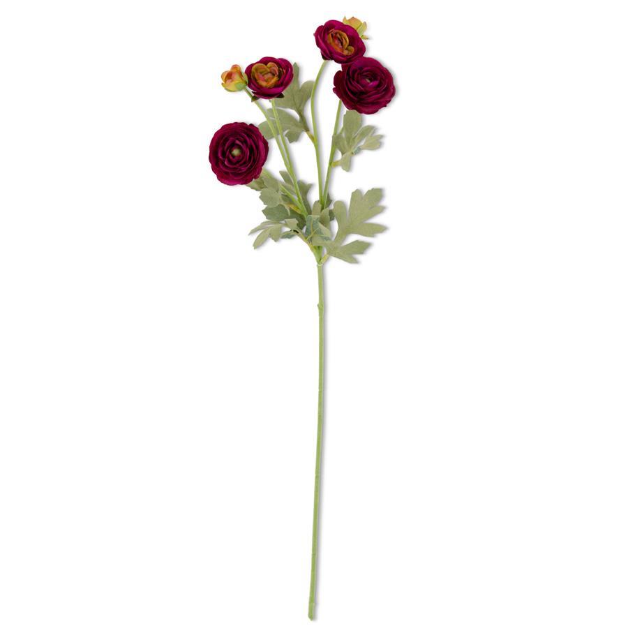 wine Ranunculus Spray.