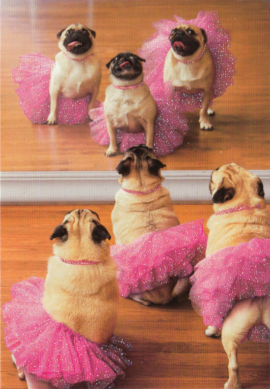 front of card is pugs in pink tutus in front of a mirror