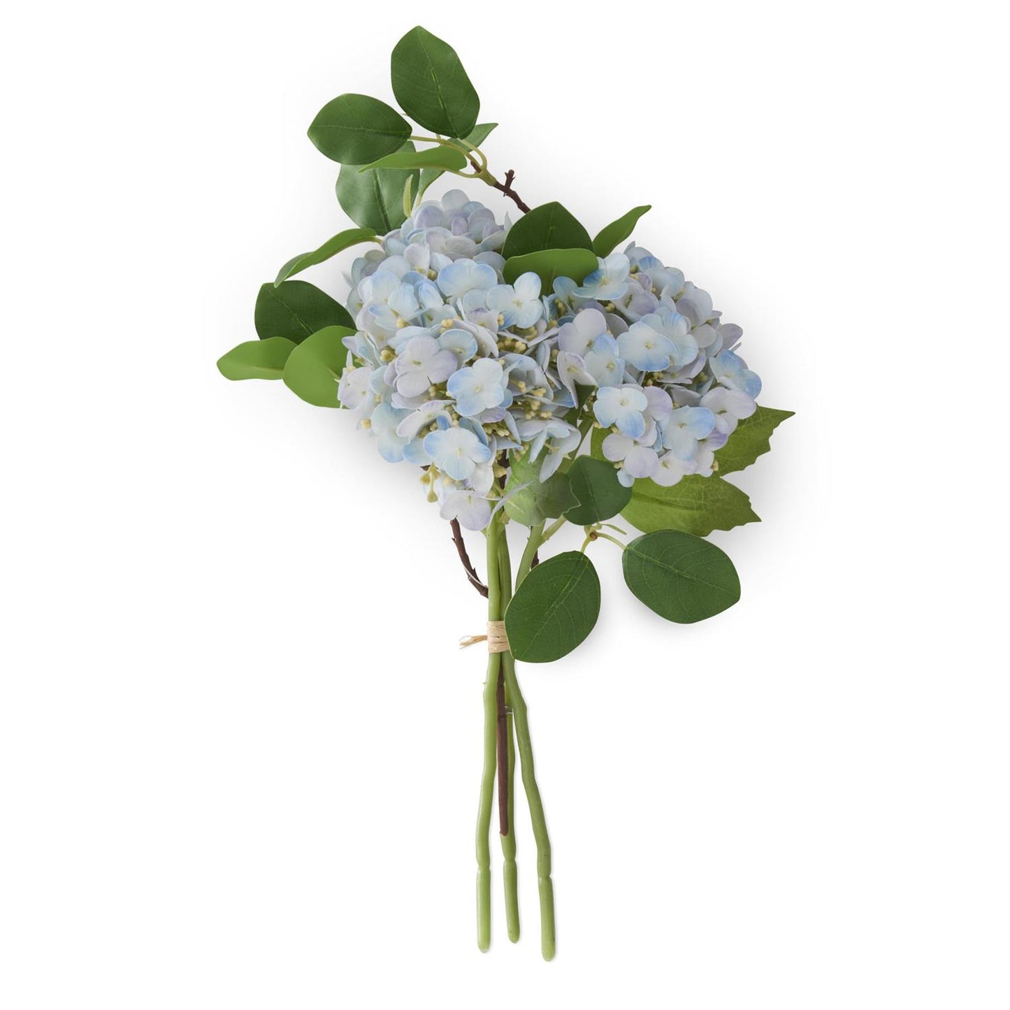 leaves and light blue hydrangeas bundled together