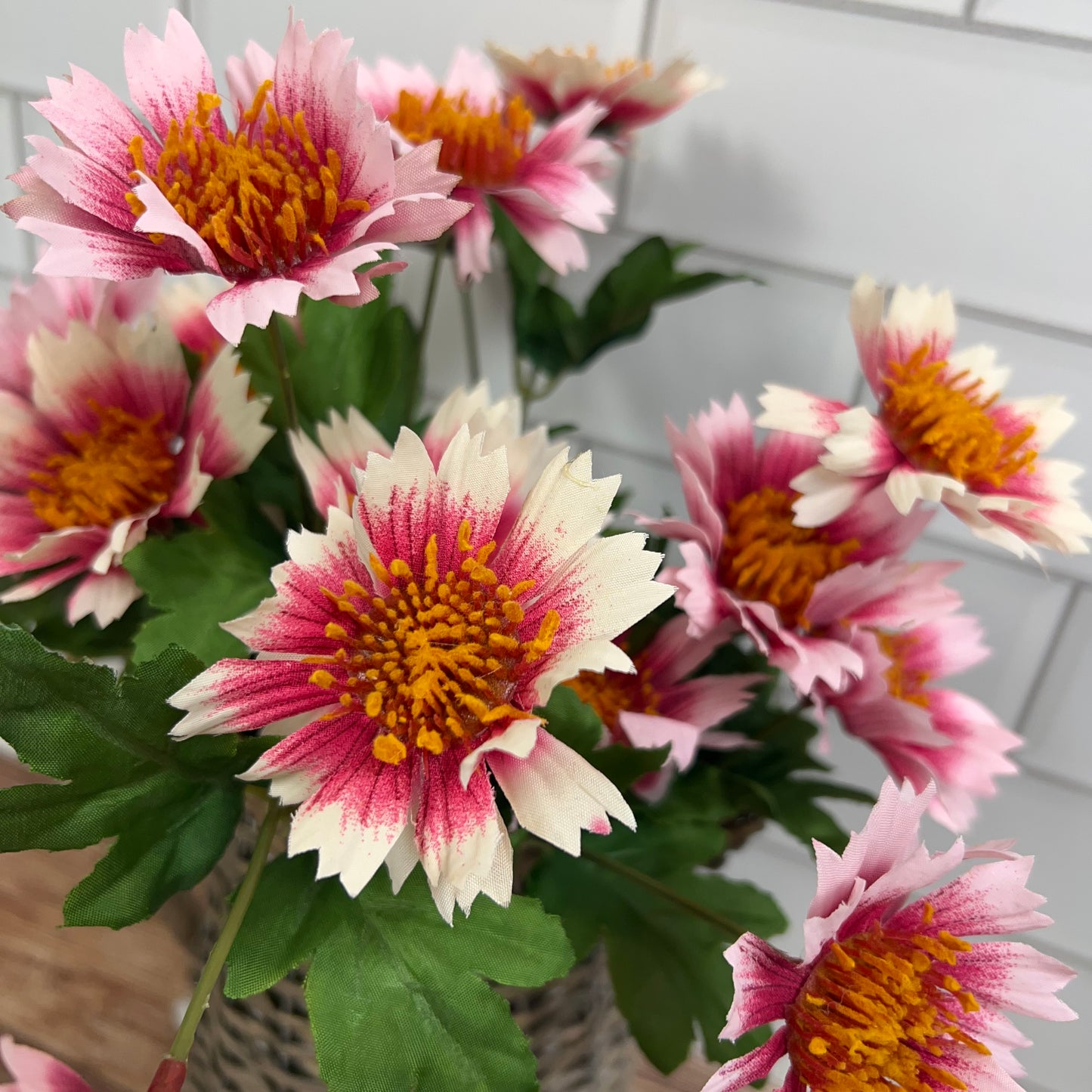 close-up of flower bunch.