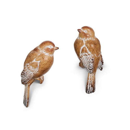 2 brown bird pot sittings on a white background