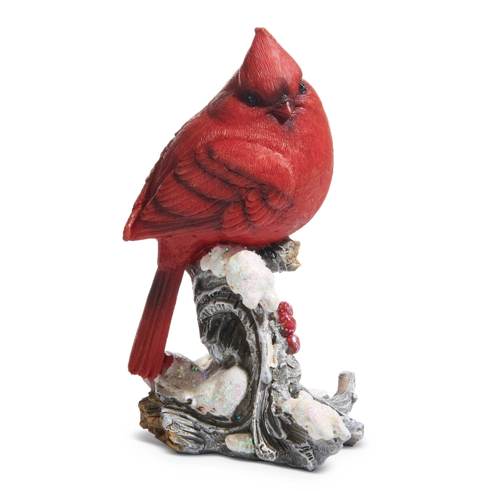 cardinal on a snowy branch shown on a white background