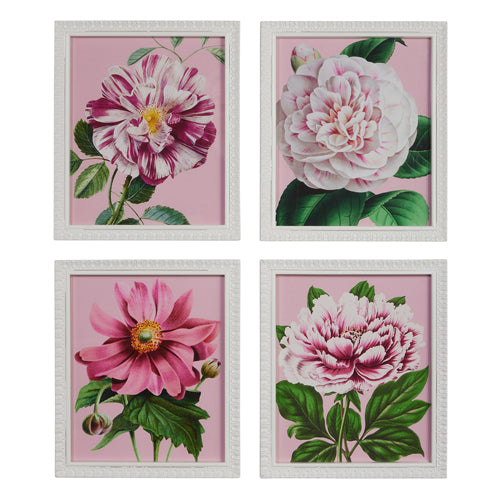 4 styles of pink floral prints in white frames