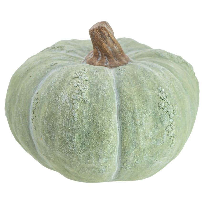 Chalky Green Pumpkin shown on a white background
