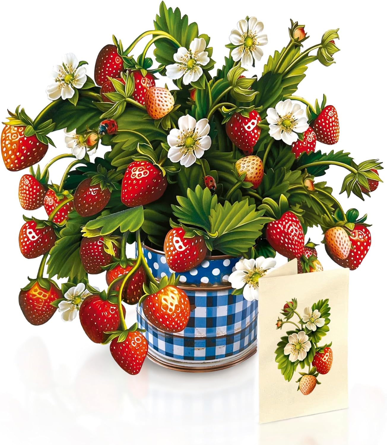 Strawberry Blossom Pop-Up Bouquet and enclosure card on a white background