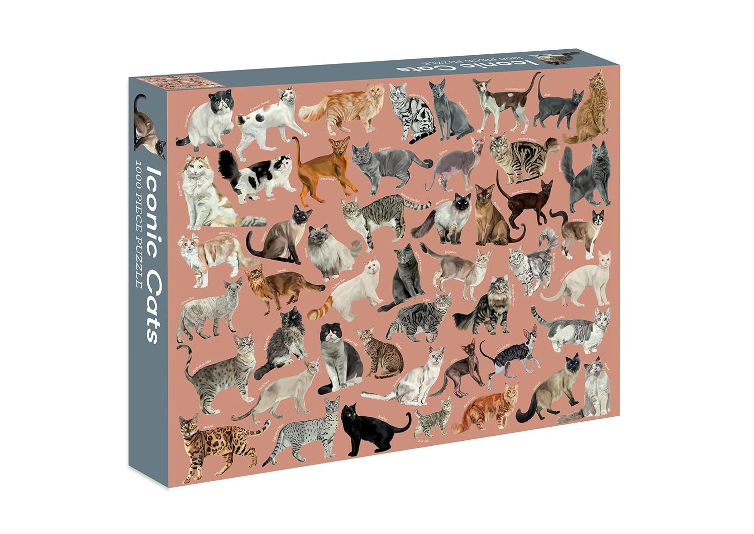 iconic cats puzzple box with a blush ponk background and illistrations of cats all over it.