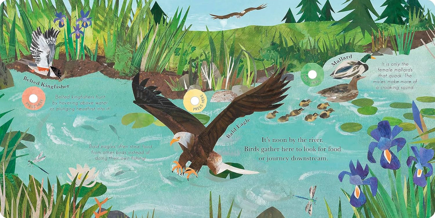 Illustrated book page with an eagle, ducks, and nature elements.