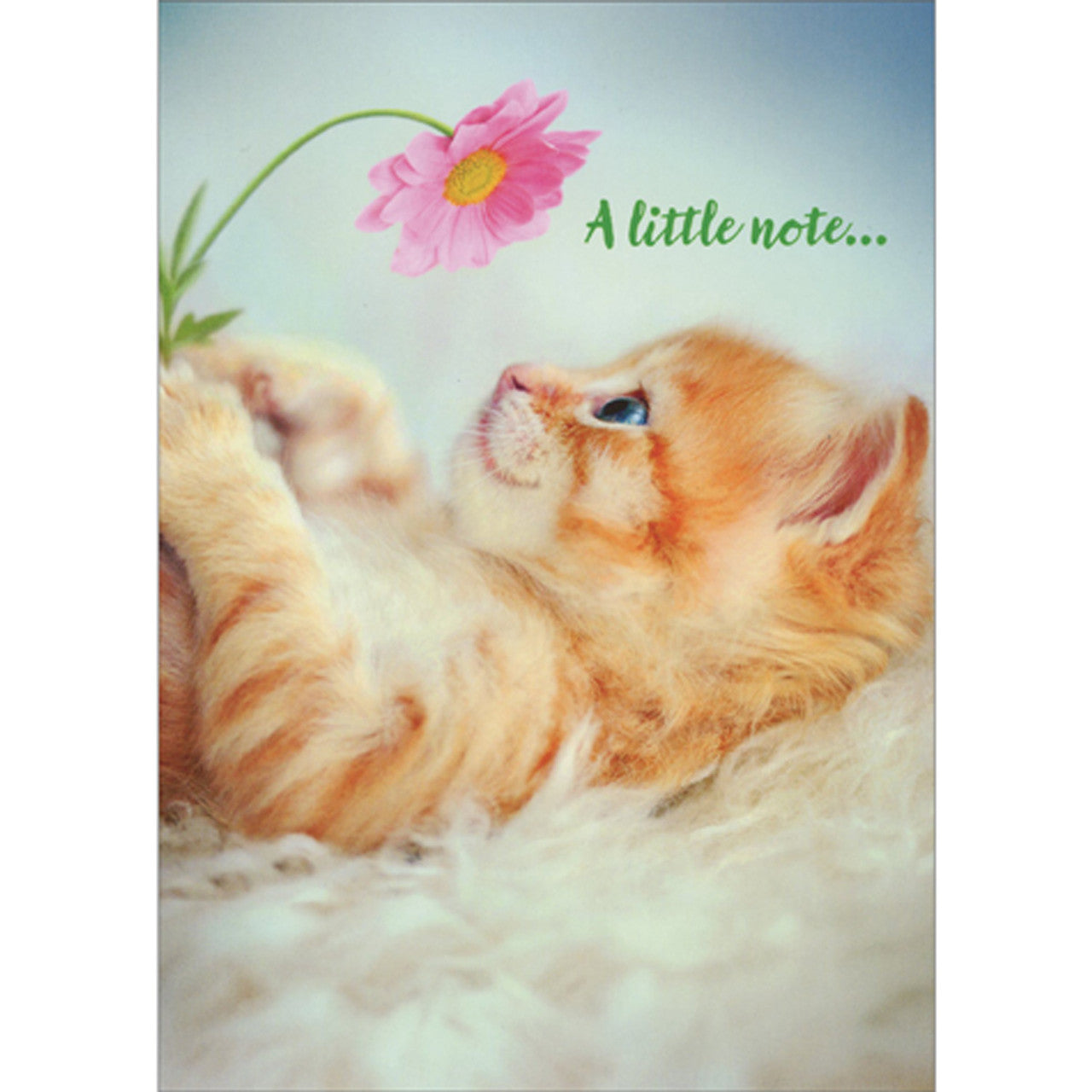 front of card is an orange kitten laying on its back holding a pink flower