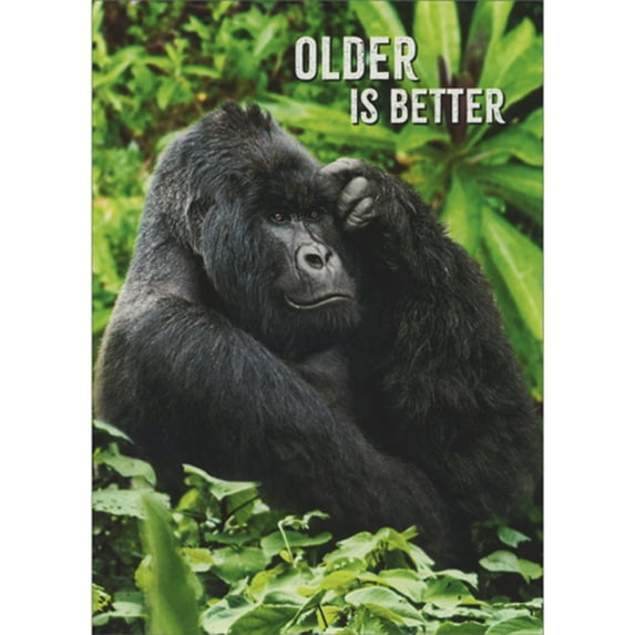 front of card is a large gorilla sitting in a jungle