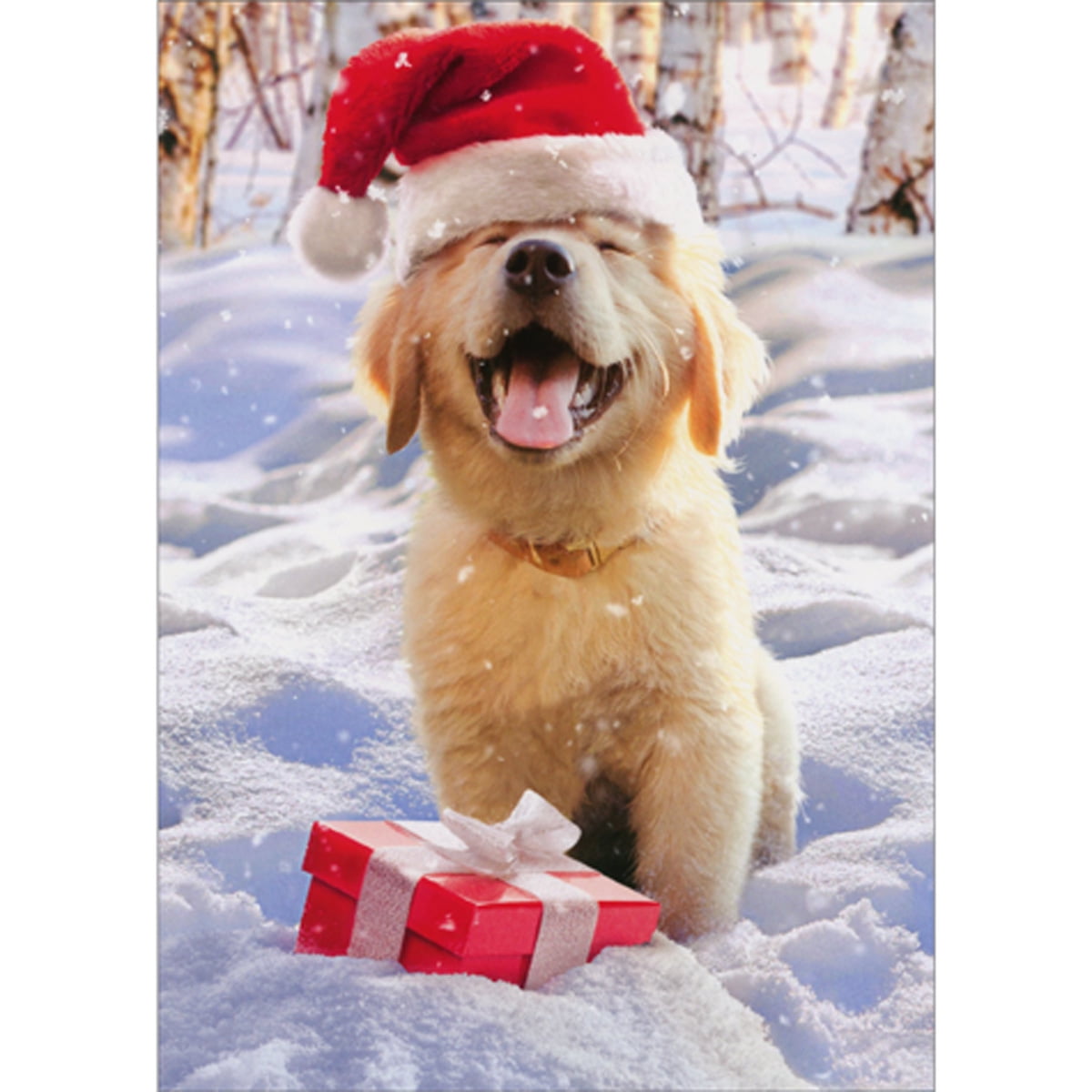 front of card is a lab puppy wearing a santa hat standing in the snow