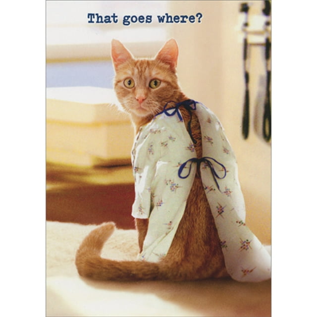 front of card is orange cat with a hospital robe on sitting in a vets office