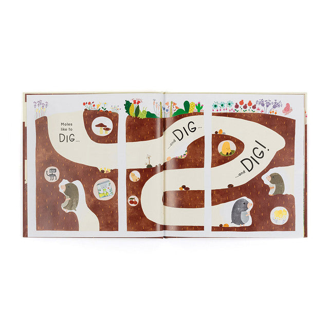 open book showing pages