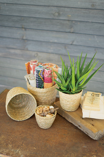 4 sizes of baskets arranged on a wood table, one has an aloe plant in it, one is full of shells, one has rolled fabrics in it, the other is empty.