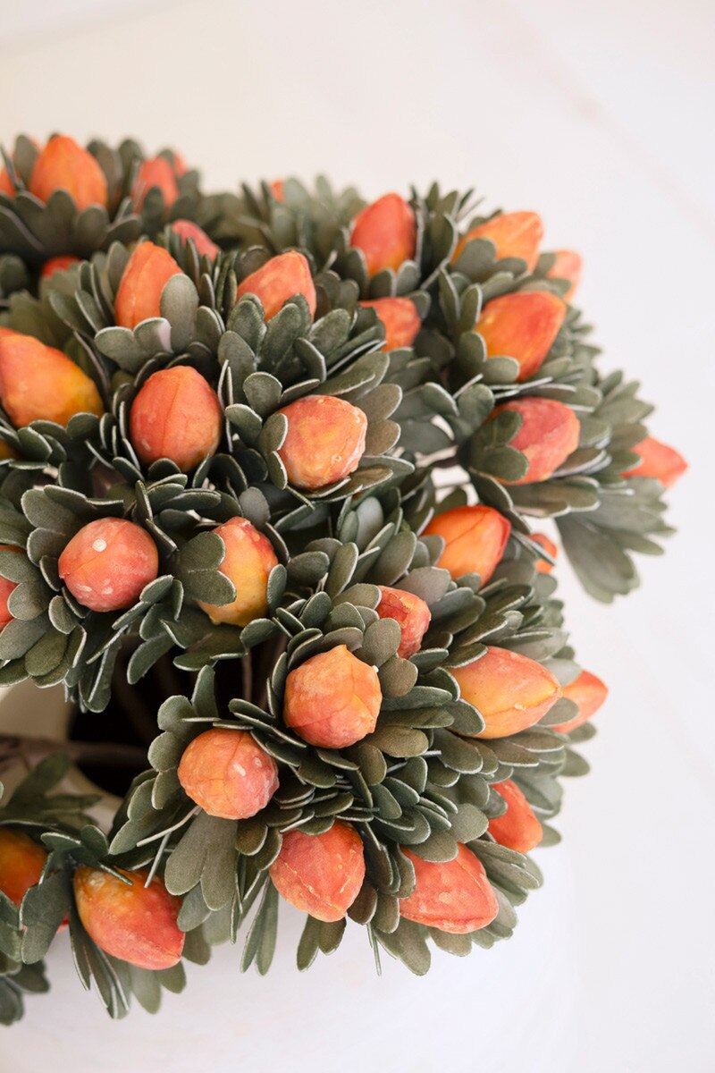 close-up of greenery with orange pods