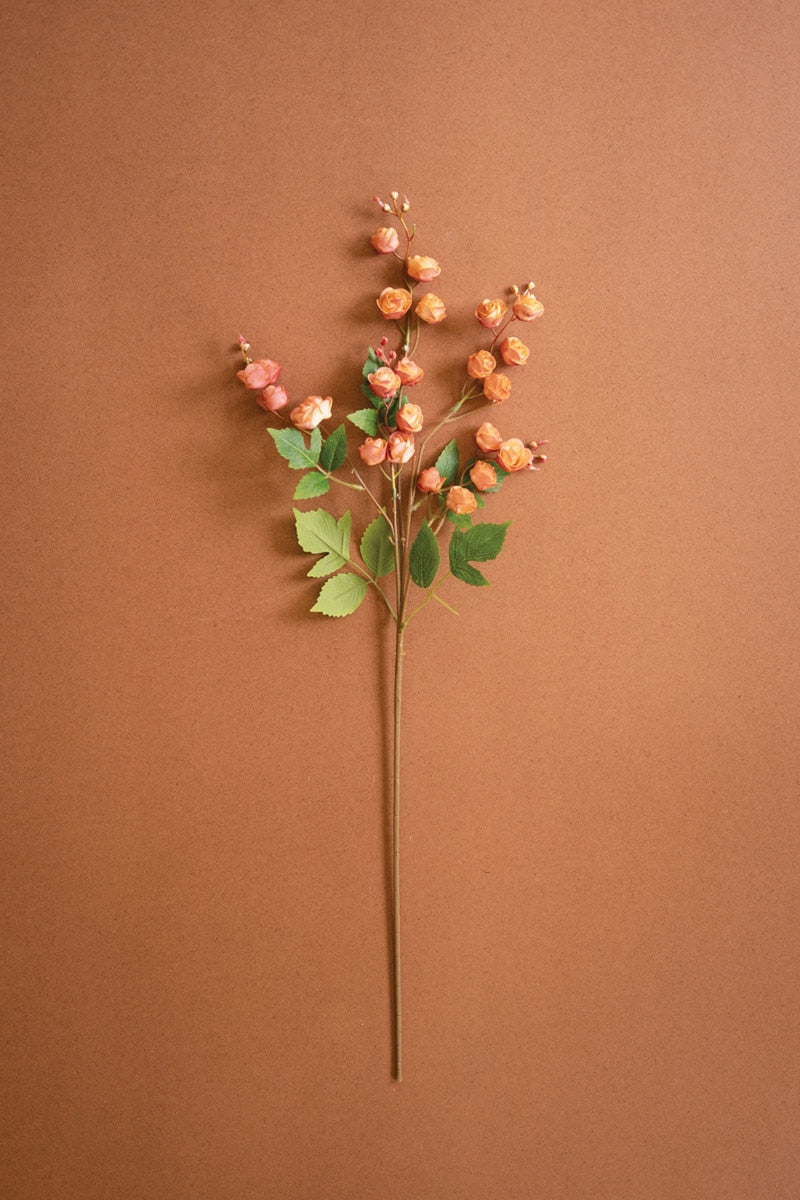 Orange Berry Floral Stem on an orange background