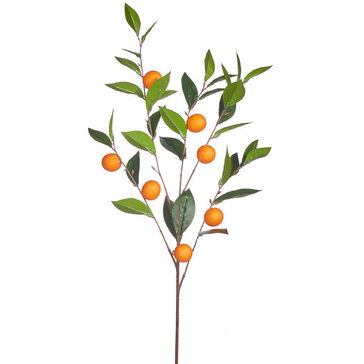 artificial orange stem on a white background