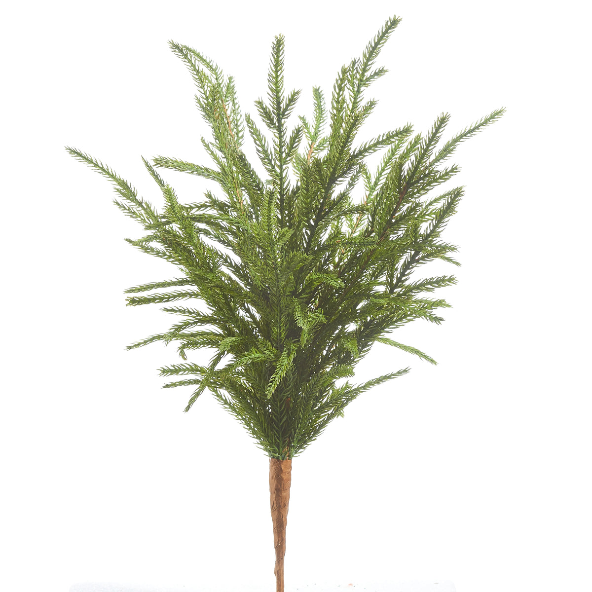 An artificial greenery stem resembling a Norfolk pine tree, with a soft green color and dense foliage.