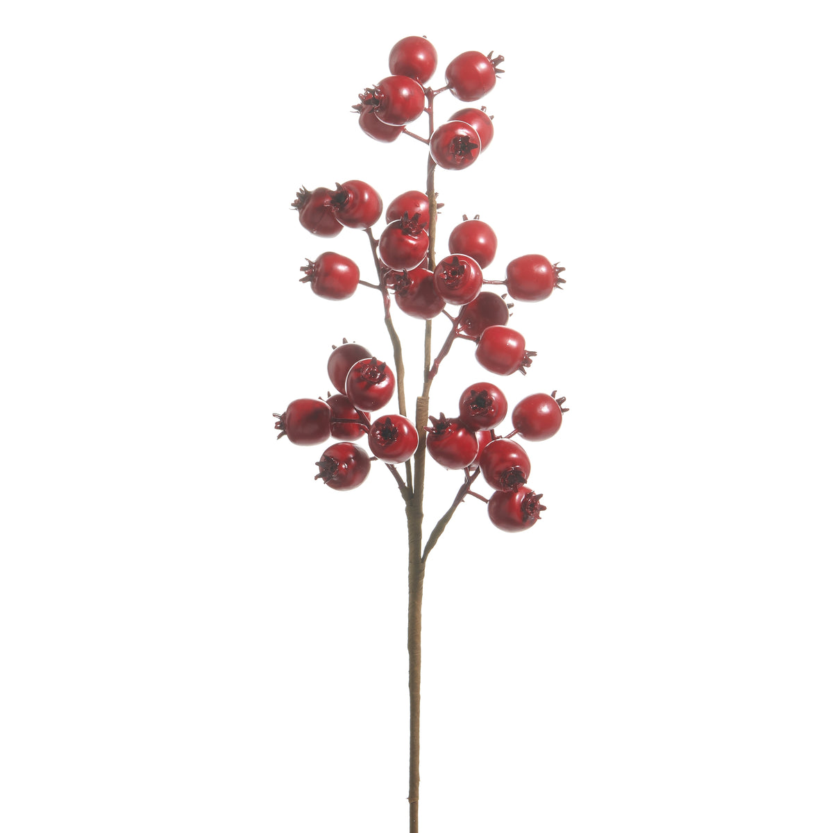 Red Berry Pod Spray shown on a white background