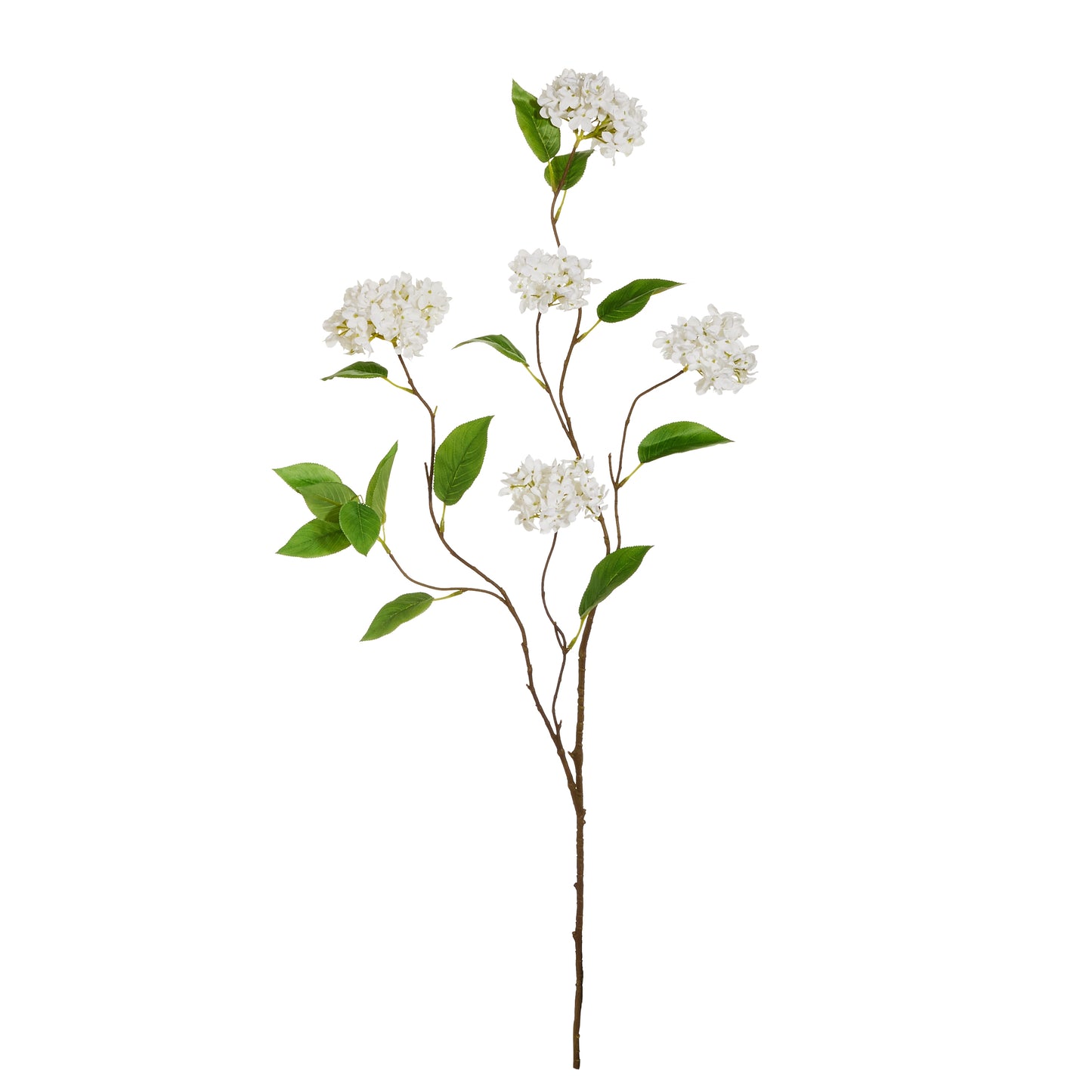 decorative branch featuring white snowball hydrangea blossoms