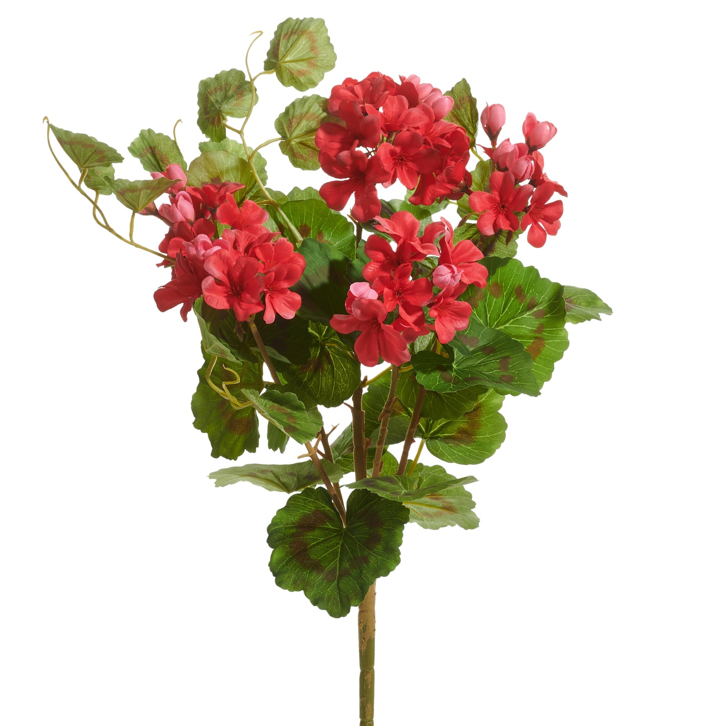 decorative stem with leaves and pink geranium flowers on it