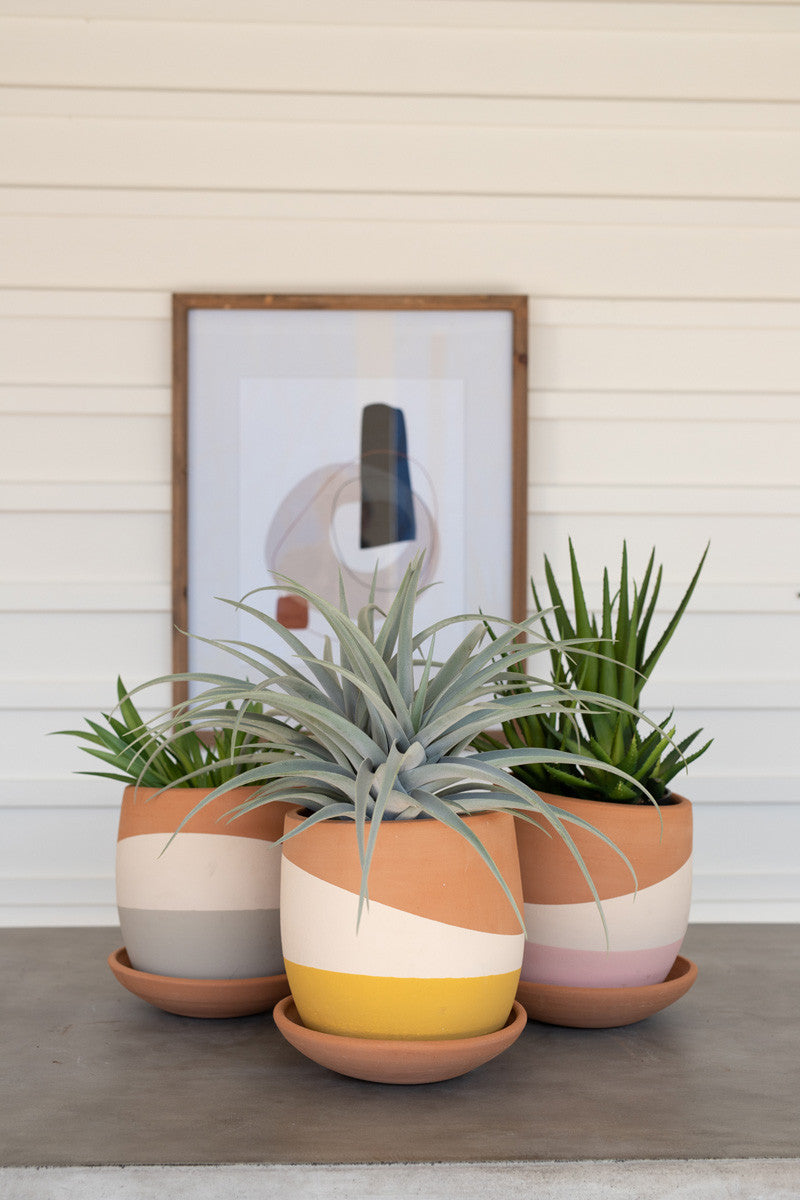 3 styles of clay pots arranged together on a table and filled with long leaf succulents.
