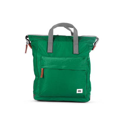 teal bantry backpack with grey straps.