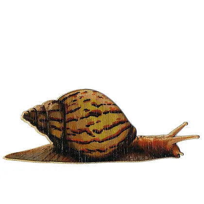 stylized image of an orangish snail