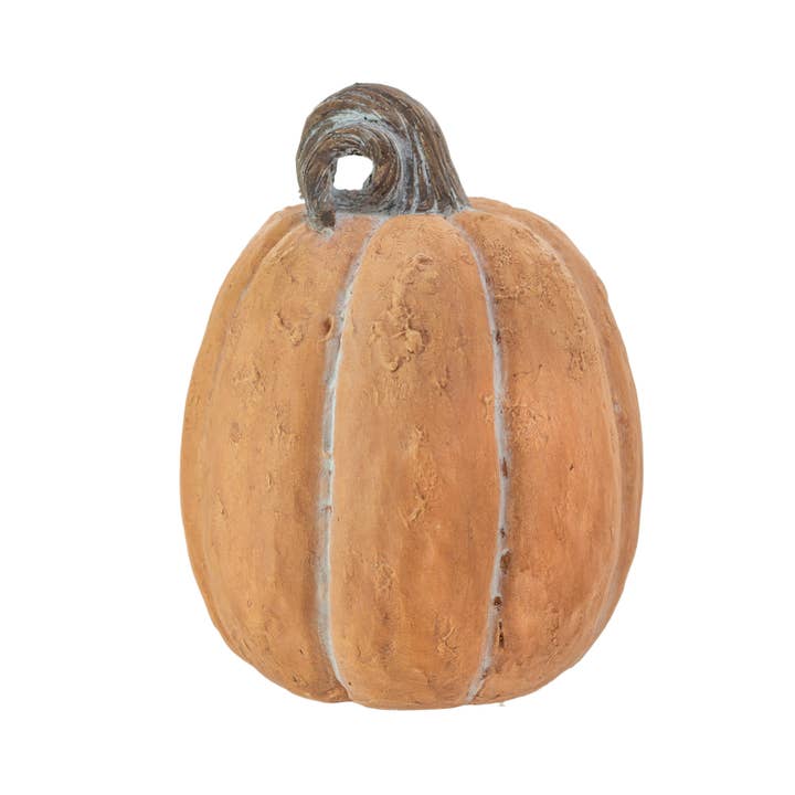 Chalky Orange Pumpkin with brown stem shown on a white background