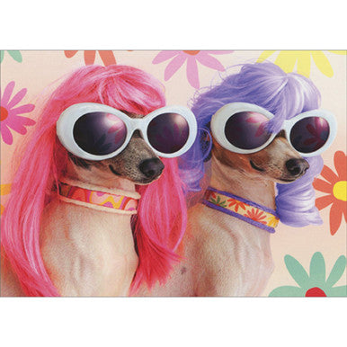 front of card is two chihuahuas in wigs and sunglasses