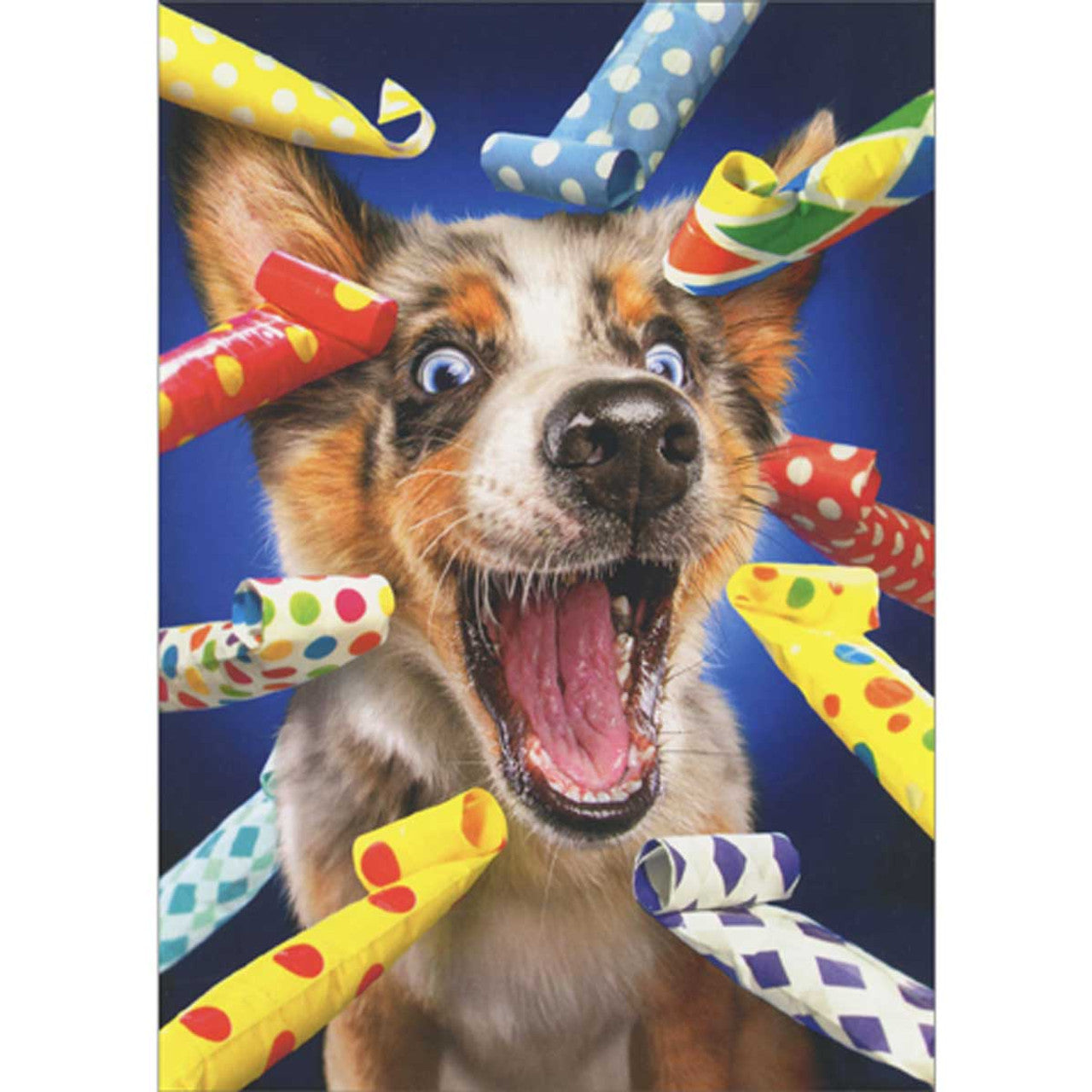 front of card is a dog surrounded by party blowers