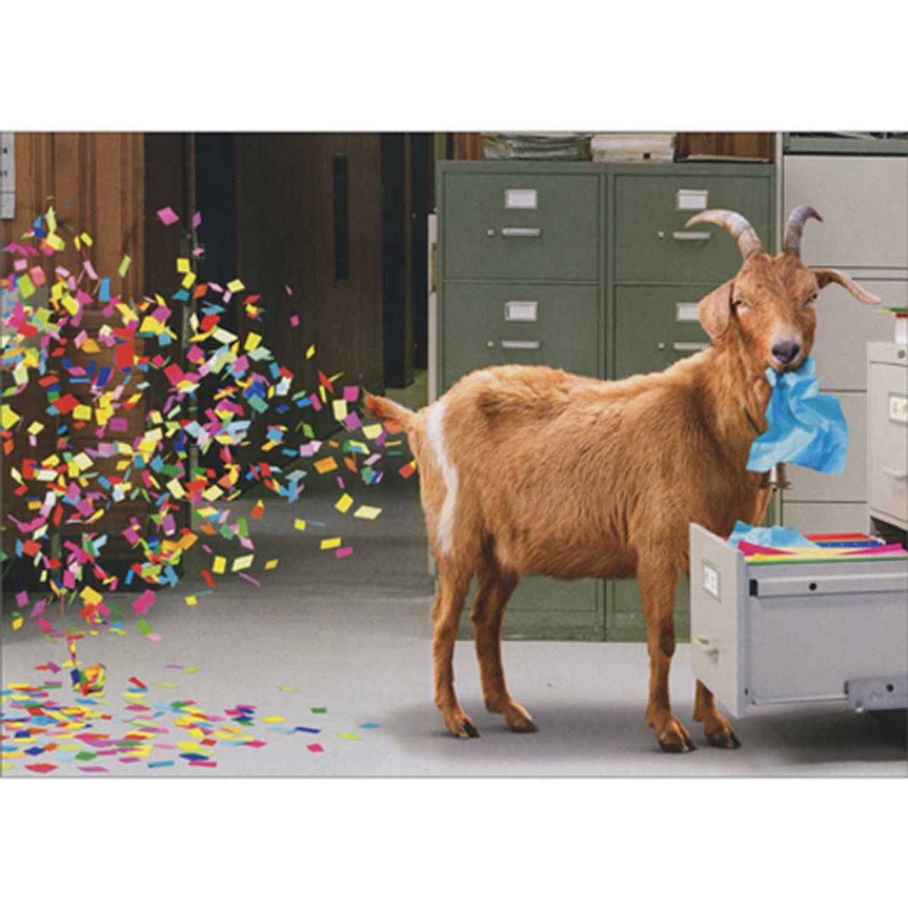 front of card is a goat eating paper out of a filing cabinet with confetti behind it