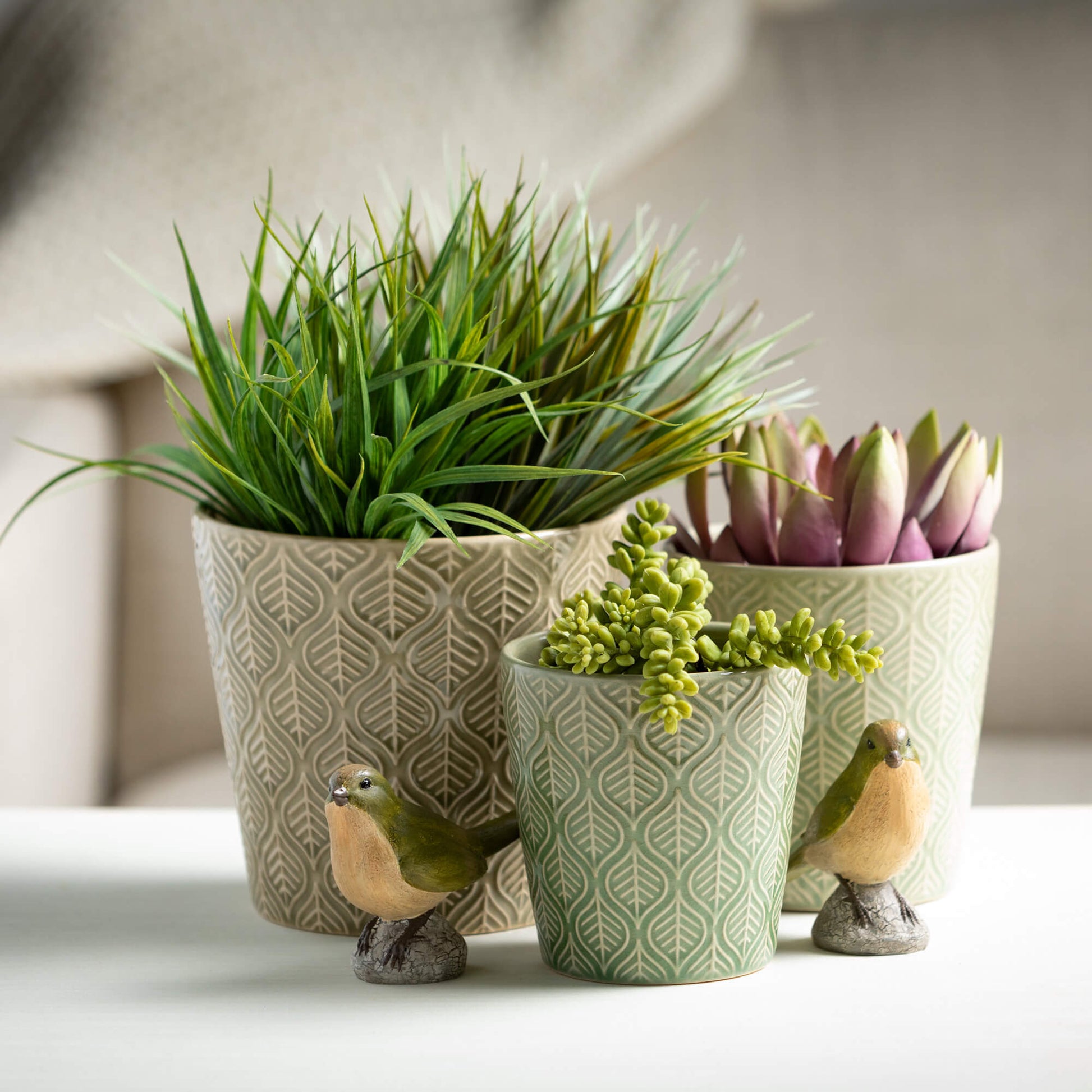 3 colors and sizes of textured planters filled with succulents and set on a table with little bird figurines.