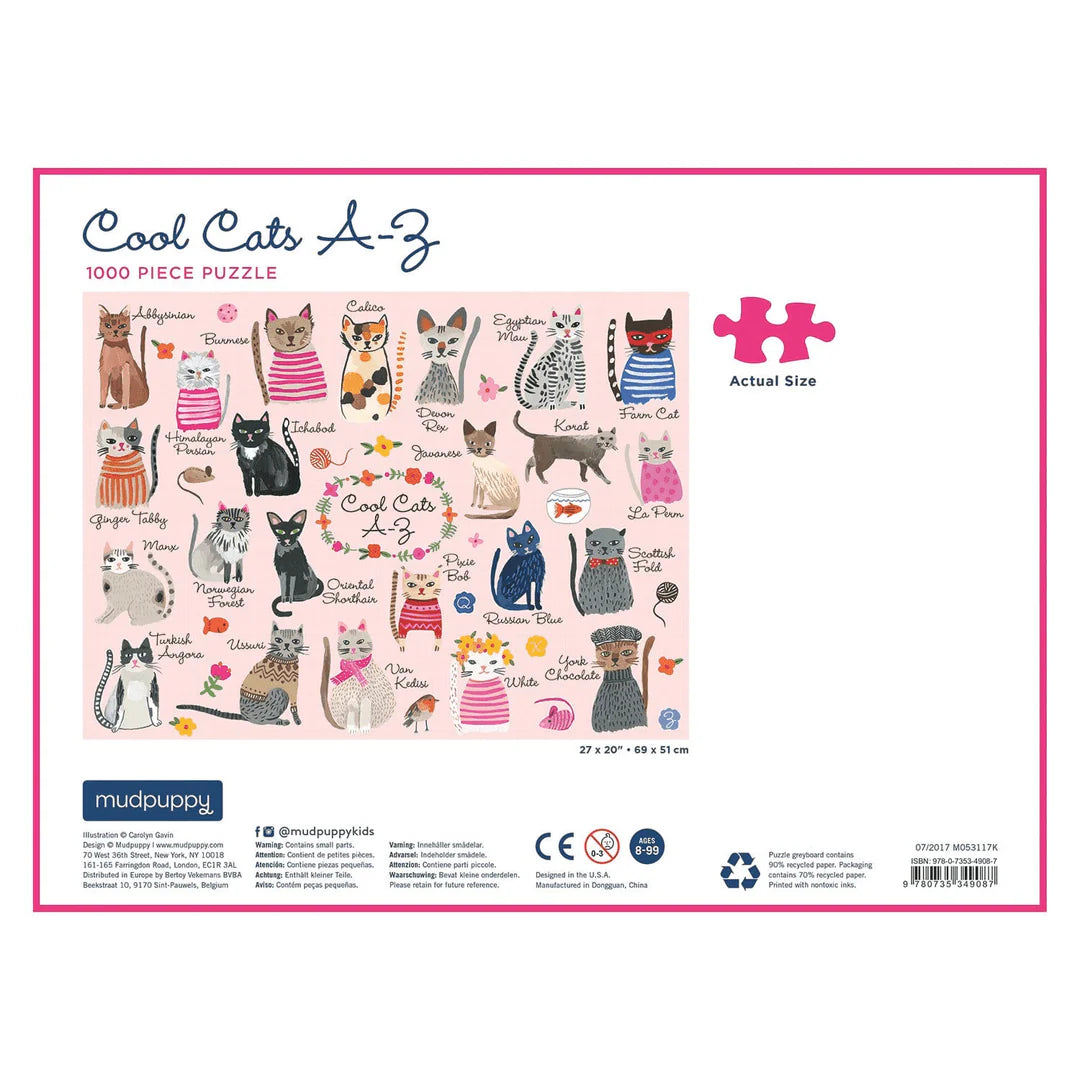 back view of cool cats puzzle box