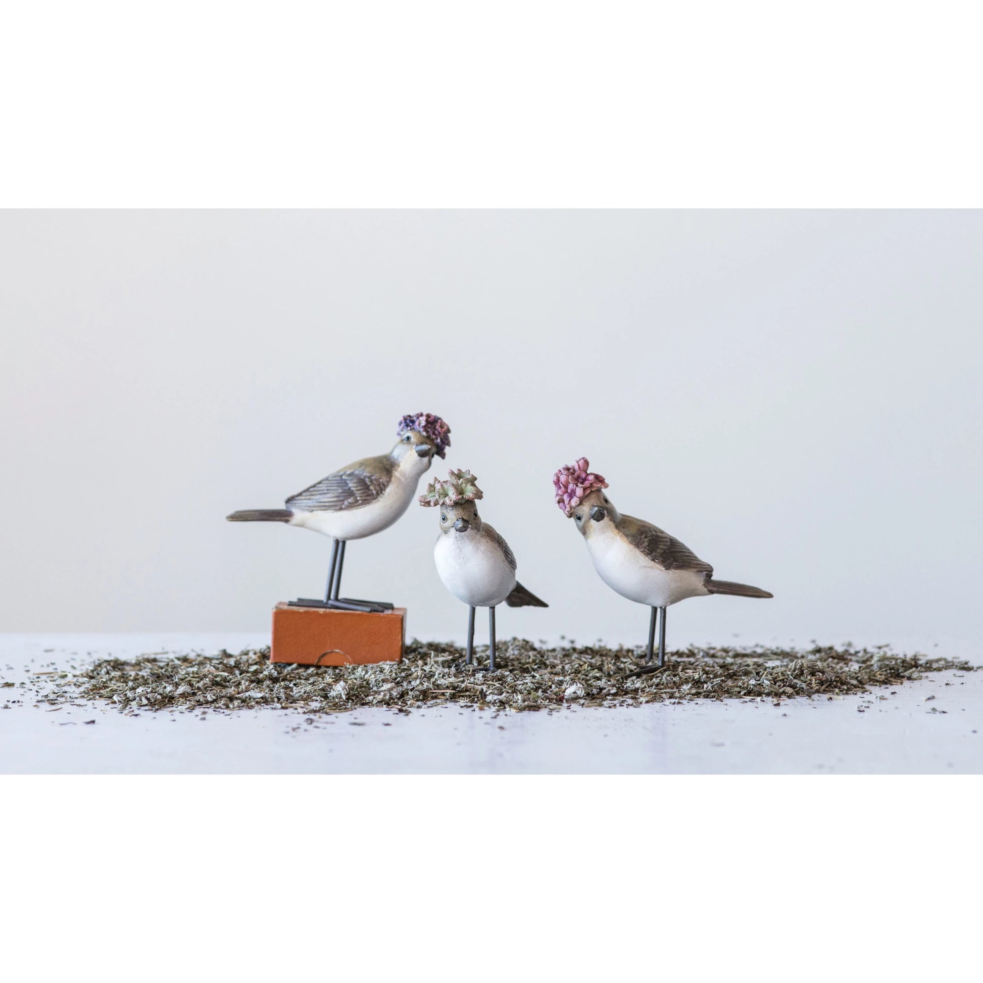3 styles of birds with hat arranged in a pile of dried seeds.