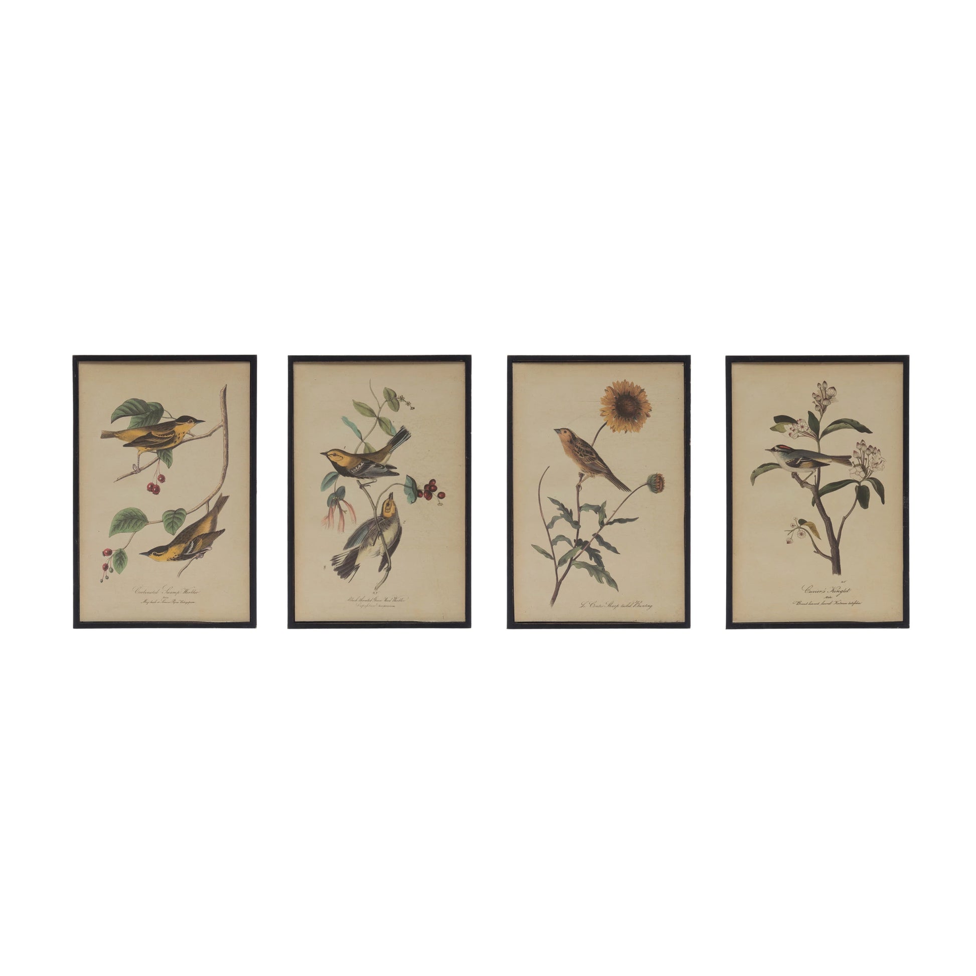 all four style of bird and flower framed wall art displayed in a row against a white background