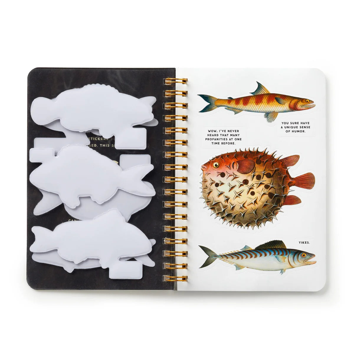 Notebook with fish illustrations and stickers on a white background