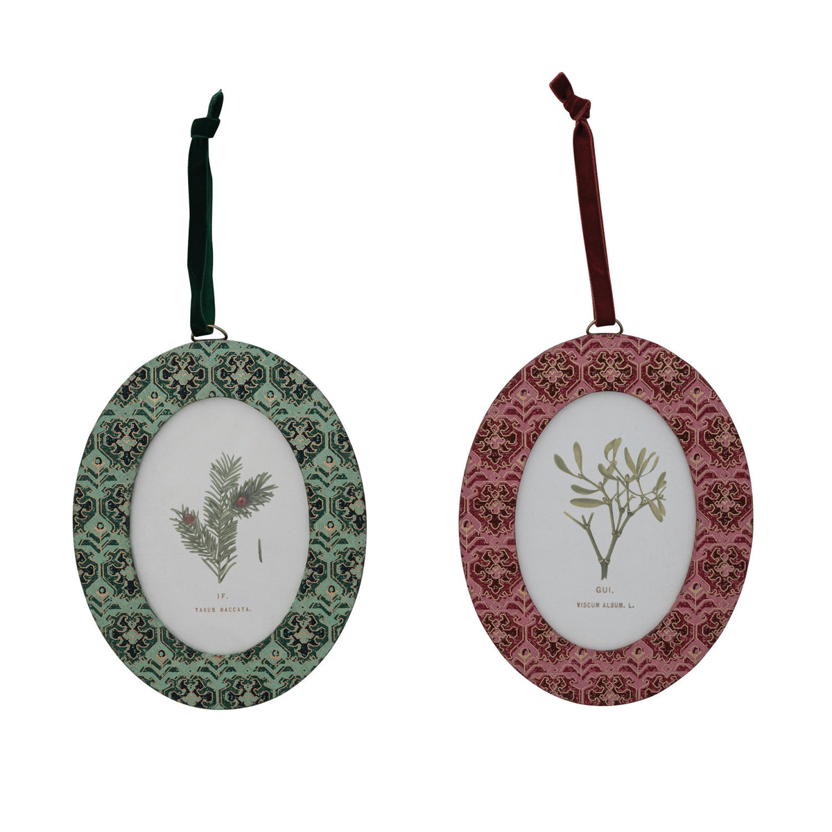 one teal, the other pink oval frame ornaments shown on a white background