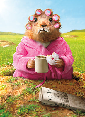 Avanti - Morning Ground Hog Almost Funny Card