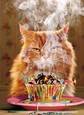 front of card is a photograph of a mad cat with a smoking burnt cupcake