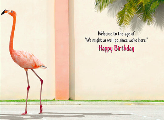 inside view of card has a flamingo walking next to a building and black and hot pink text listed in the description