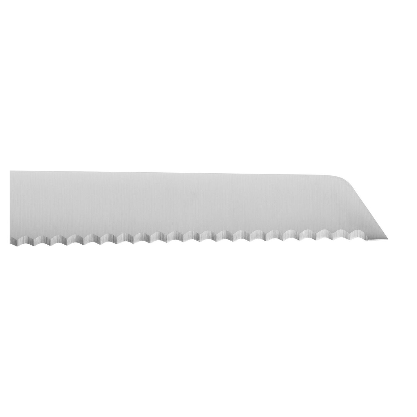 close up of serrated blade on white background
