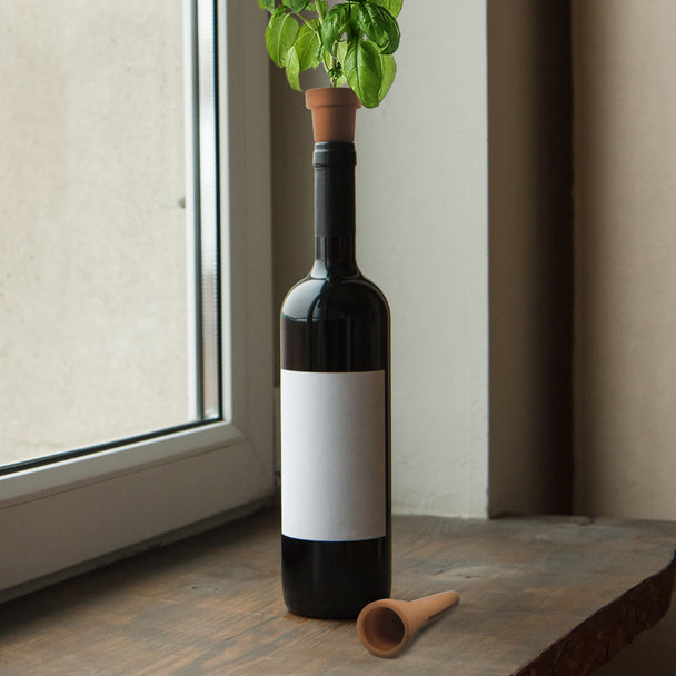 This $22 Kit Turns Your Empty Wine Bottles Into an Herb Garden