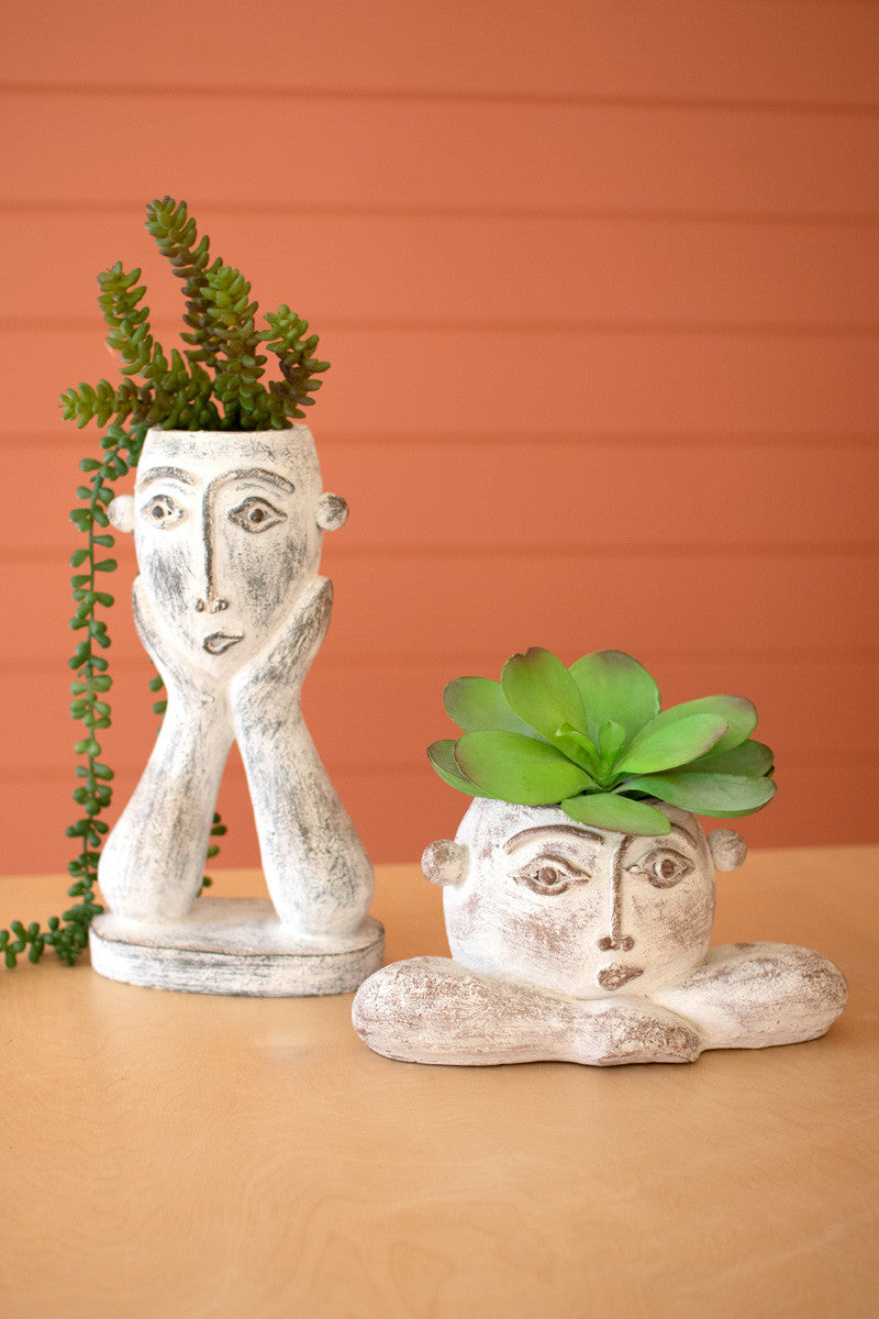 face pot plant Kalalou