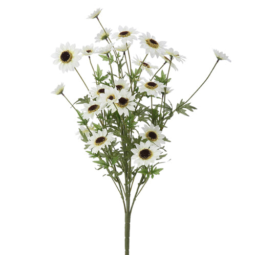 black-eyed susan flower bundle are of white flowers with green leaves against a white background