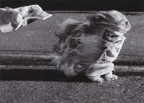 front of card is a photograph of a dog in heavy wind with a newspaper flying by