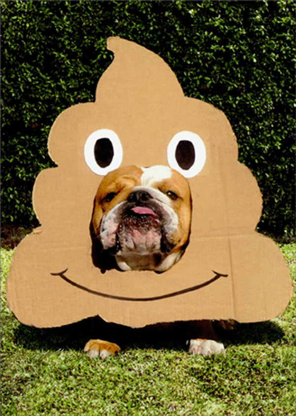 front of card is a bull dog sticking it's face through a cut of a poop emoji with eyes and smiling face