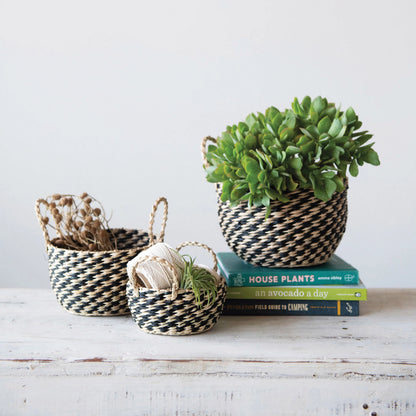 all three sizes of hand woven seagrass basket with handles filled with succulents and greenery displayed next to stacked books on a whitewashed table against a white wall