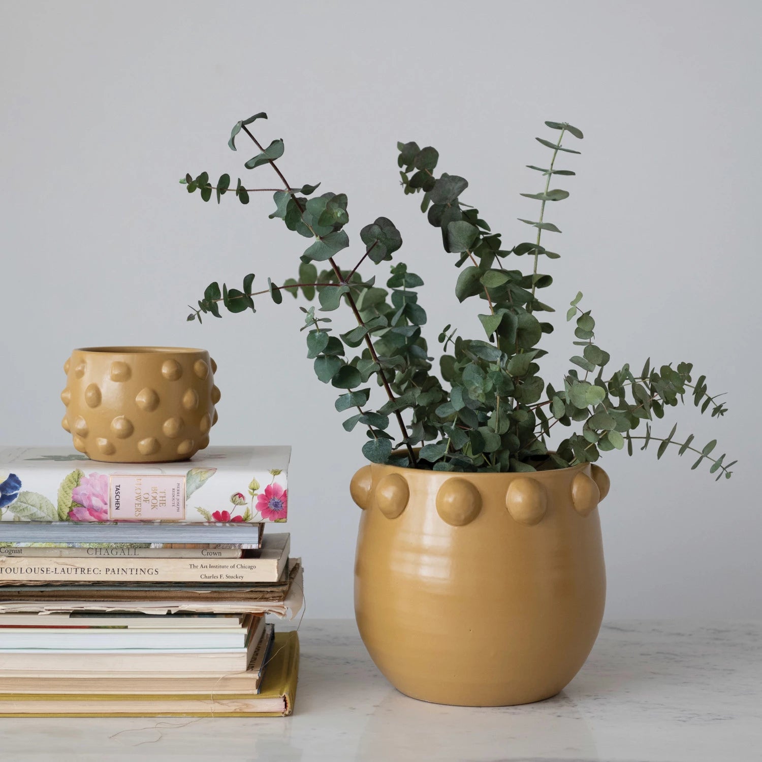 creative pots for indoor plants Creative Co-op
