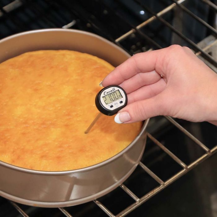 the digital pocket thermometer being used on a cake sitting on an oven rack