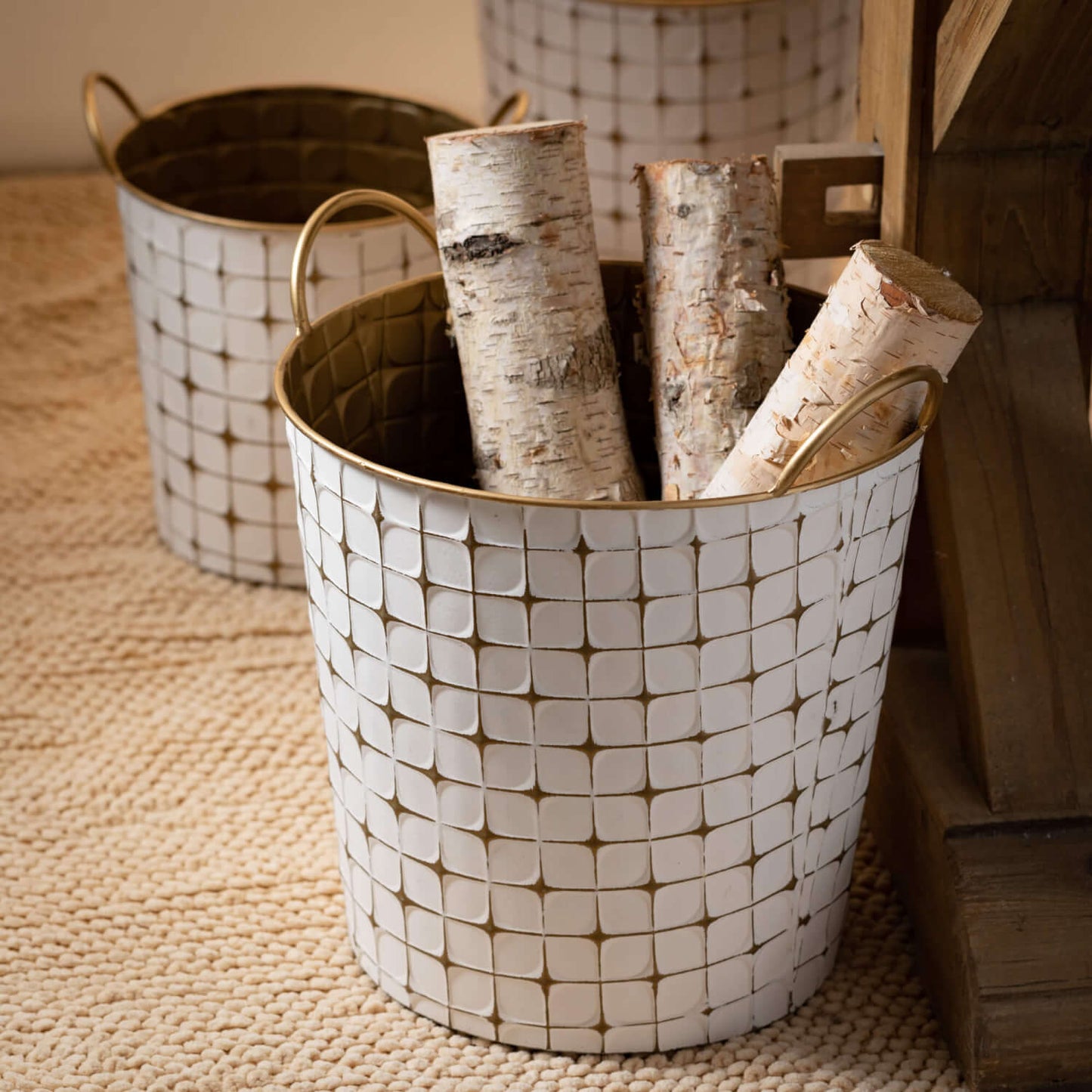 bucket on natural colored carpeting and filled with birch branches.